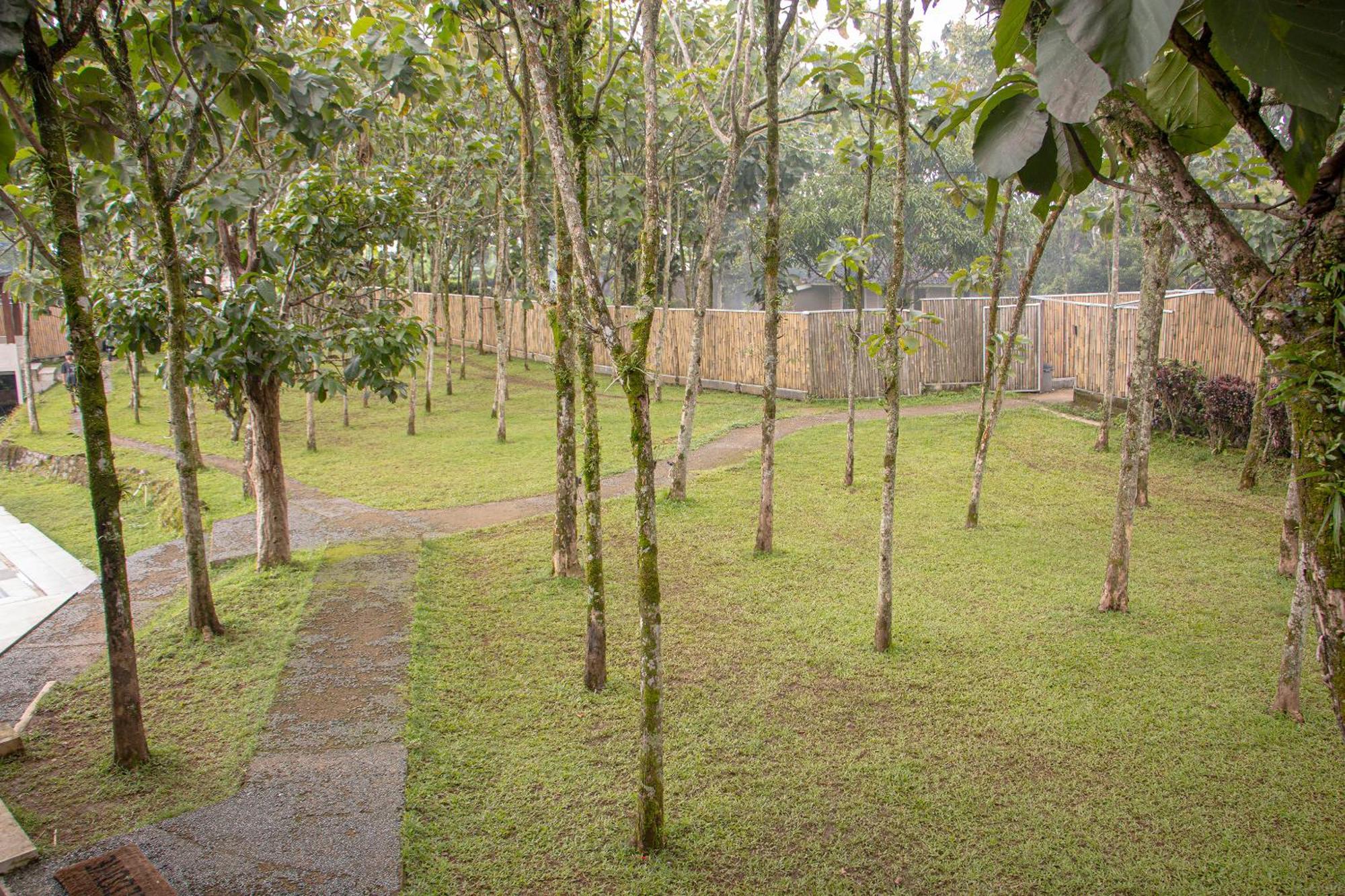 Holy By The 100 Bogor